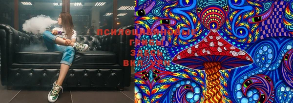 ПСИЛОЦИБИНОВЫЕ ГРИБЫ Балабаново