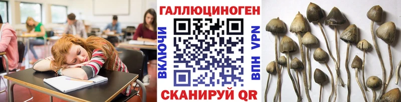 Галлюциногенные грибы ЛСД  где можно купить   Бородино 